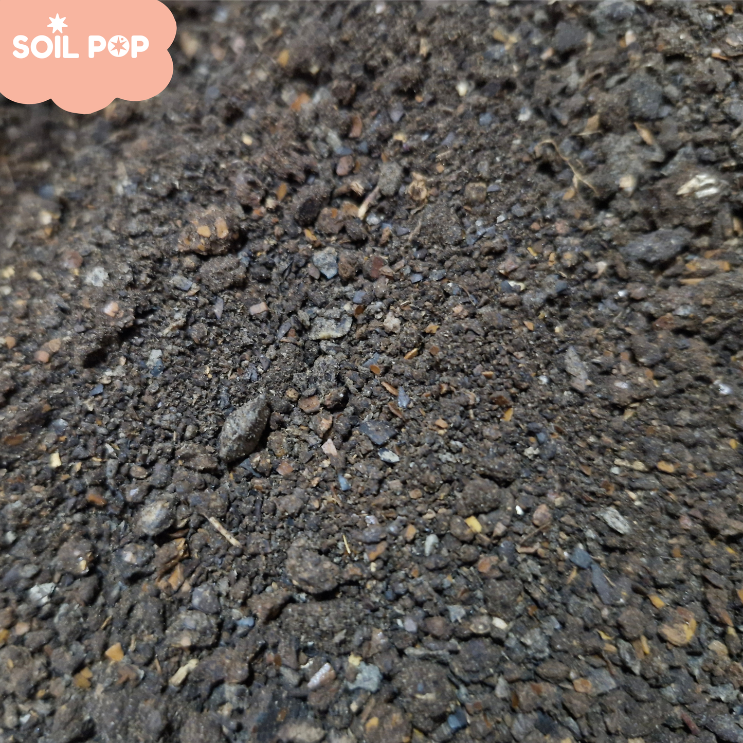 Cold pressed neem khali powder for indoor outdoor plants