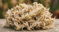 Sphagnum Moss