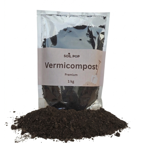 Vermicompost close-up dark rich earthworm castings organic manure