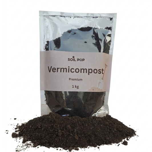 Vermicompost close-up dark rich earthworm castings organic manure