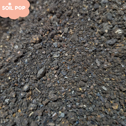 Cold pressed neem khali powder for indoor outdoor plants