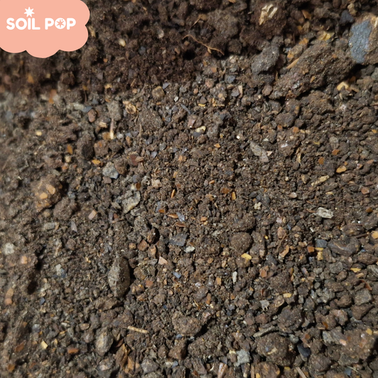 Neem cake powder close-up organic soil amendment
