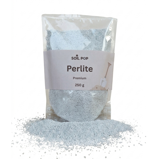 Perlite for succulents and cacti potting mix drainage